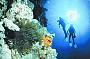 outer reef sites
