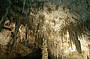 Explore Mammoth Cave
