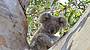 4WD Beach Safari - North Stradbroke Island