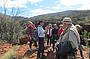 1 Day Palm Valley 4WD Adventure